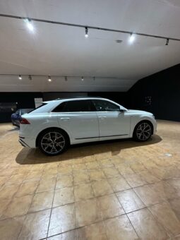 
										AUDI Q8 55 TFSIe S Line Plus full									