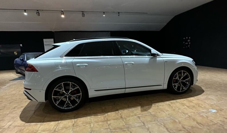 
								AUDI Q8 55 TFSIe S Line Plus full									