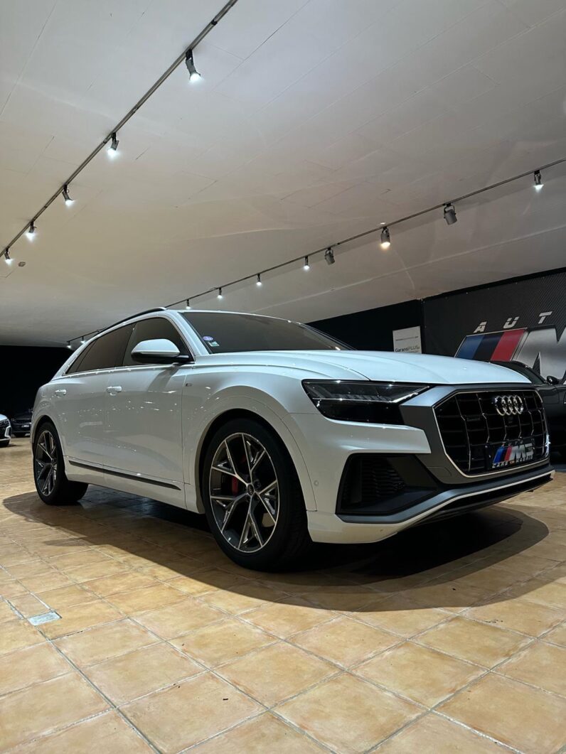 
								AUDI Q8 55 TFSIe S Line Plus full									