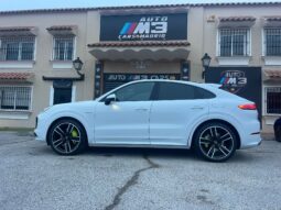 
										PORSCHE CAYENNE COUPÉ E HYBRIDO PLATINUM EDITION full									