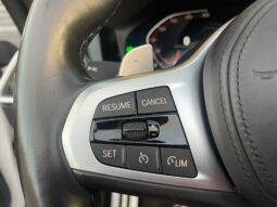 
										BMW 420D 190 CV PAKET M full									